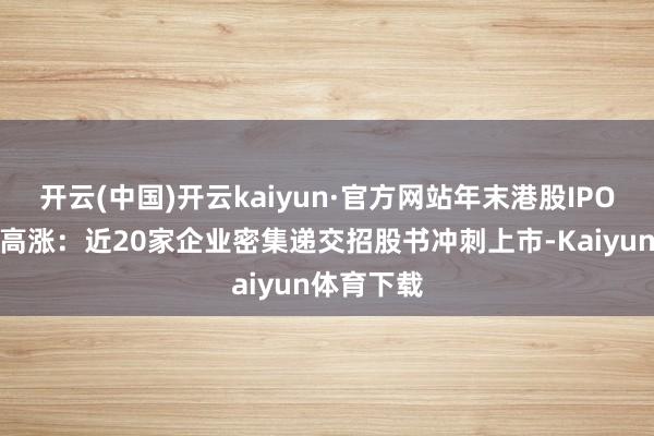 开云(中国)开云kaiyun·官方网站年末港股IPO商场掀翻高涨：近20家企业密集递交招股书冲刺上市-Kaiyun体育下载
