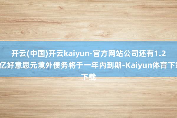 开云(中国)开云kaiyun·官方网站公司还有1.27亿好意思元境外债务将于一年内到期-Kaiyun体育下载