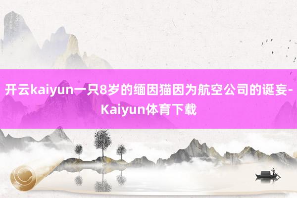 开云kaiyun一只8岁的缅因猫因为航空公司的诞妄-Kaiyun体育下载