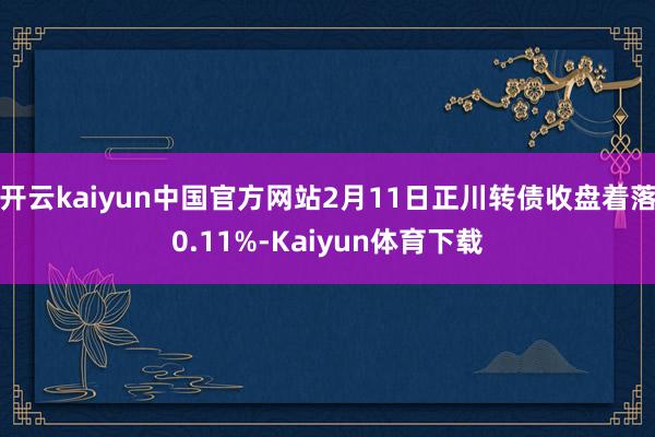 开云kaiyun中国官方网站2月11日正川转债收盘着落0.11%-Kaiyun体育下载