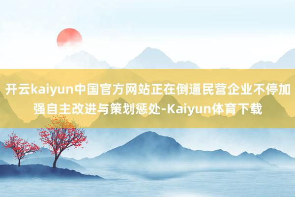 开云kaiyun中国官方网站正在倒逼民营企业不停加强自主改进与策划惩处-Kaiyun体育下载