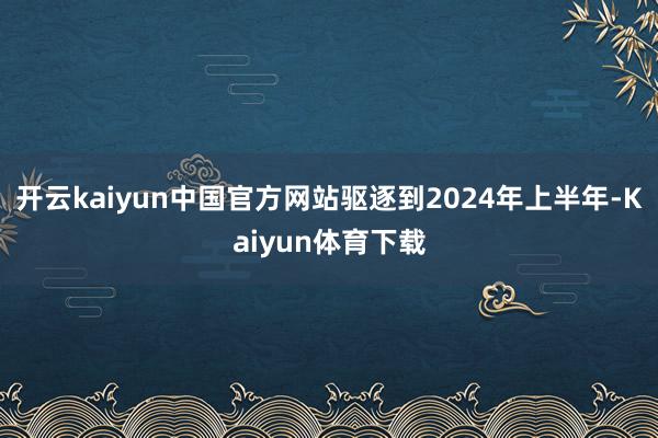 开云kaiyun中国官方网站驱逐到2024年上半年-Kaiyun体育下载